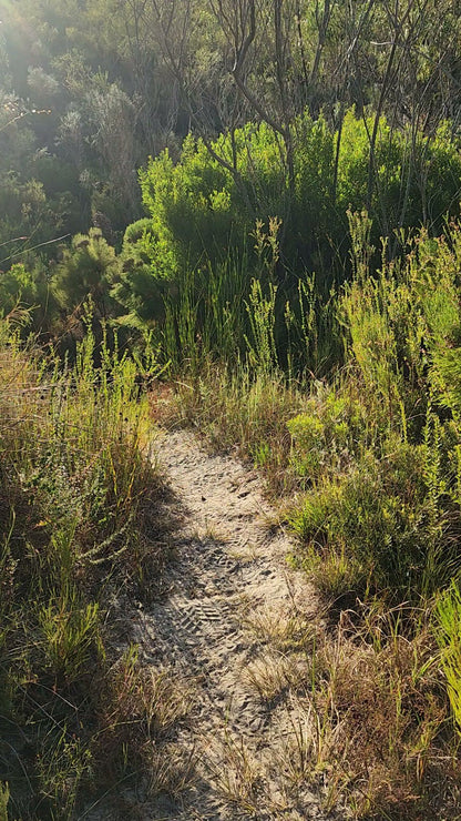  De Hoop Nature Reserve