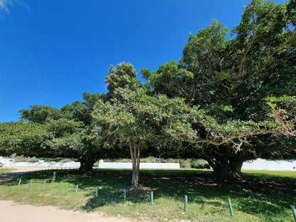  De Hoop Nature Reserve