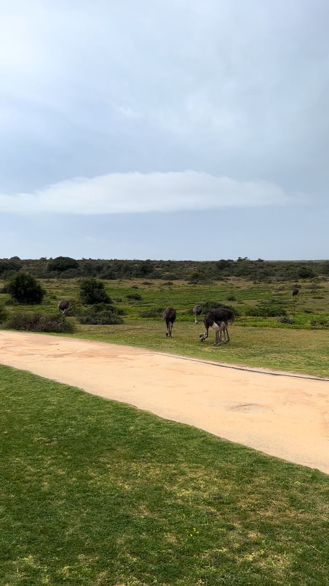  De Hoop Nature Reserve