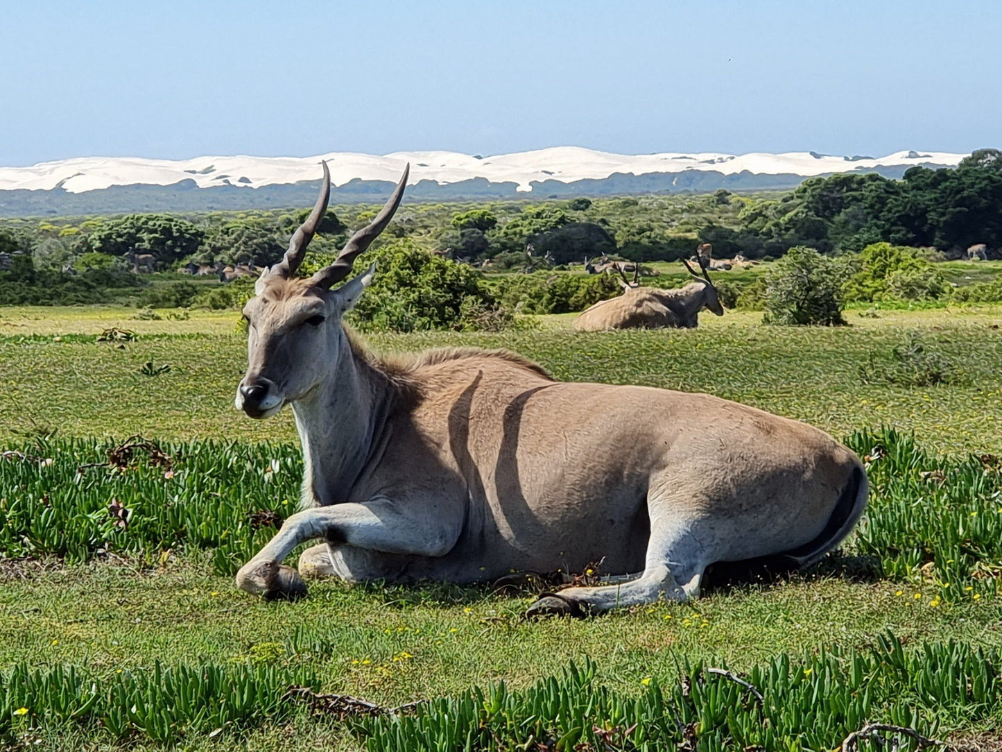  De Hoop Nature Reserve