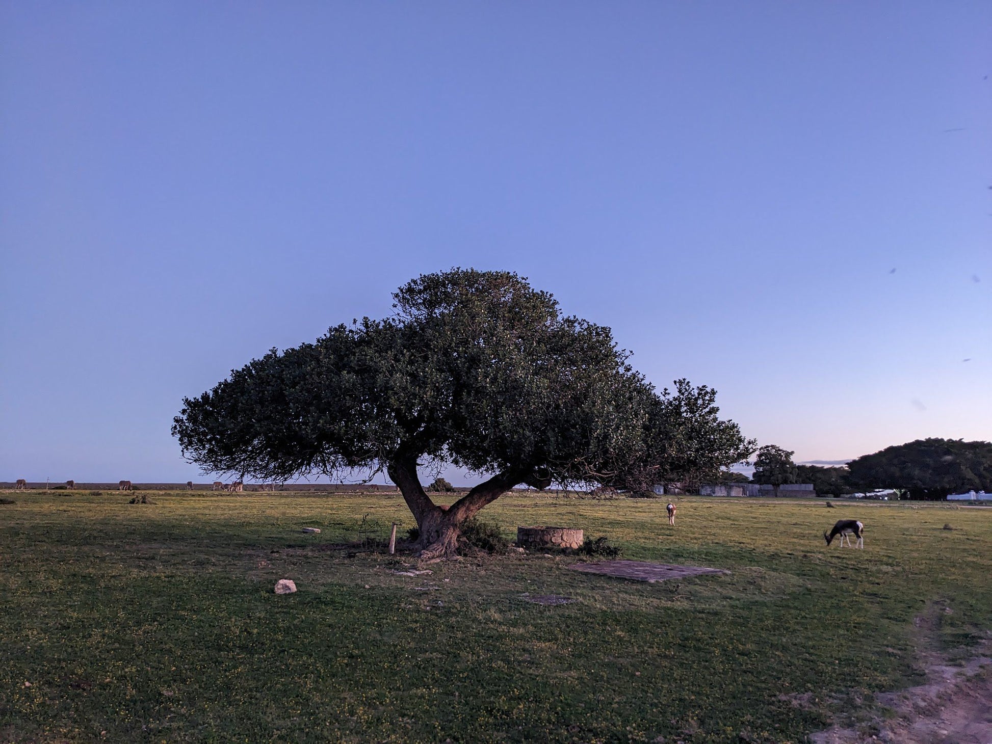  De Hoop Nature Reserve