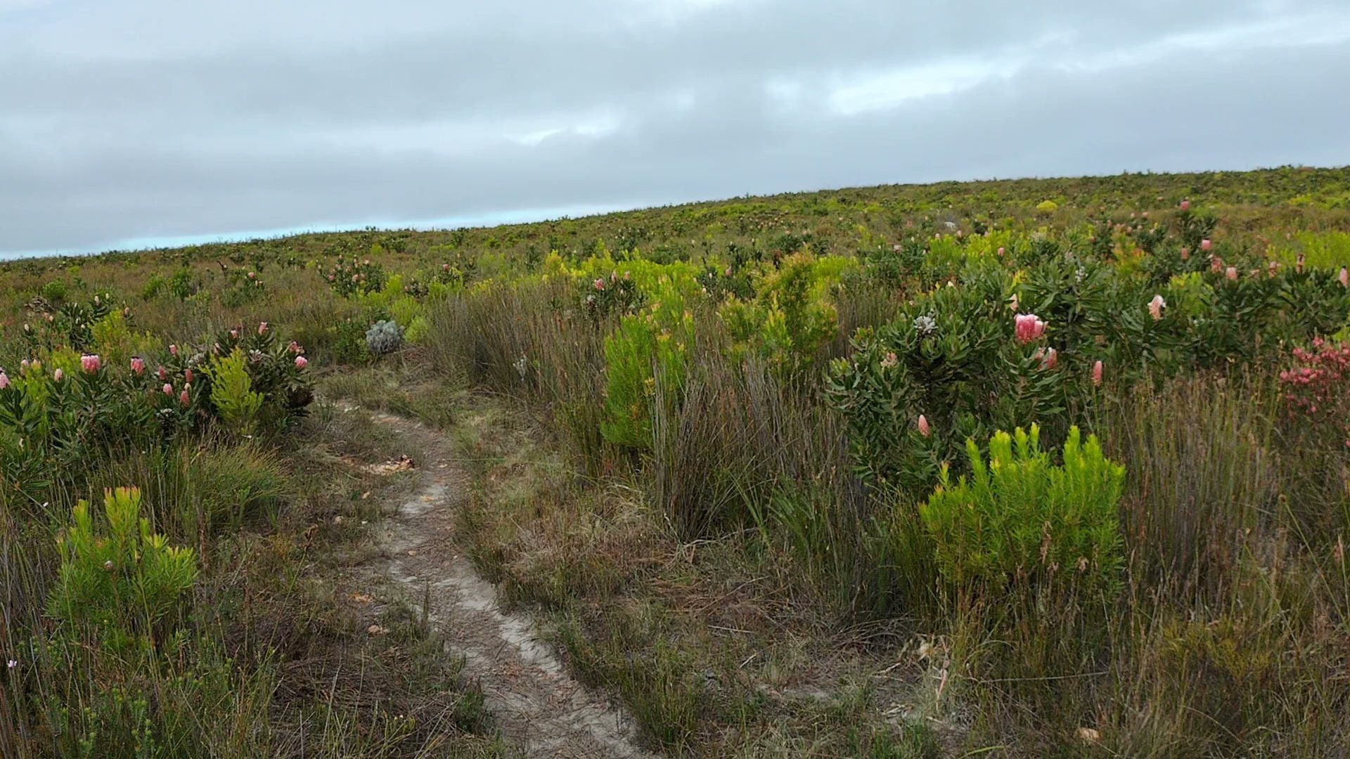  De Hoop Nature Reserve