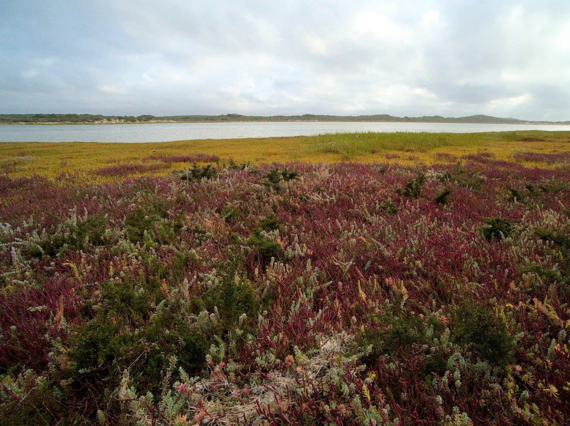  De Mond Nature Reserve