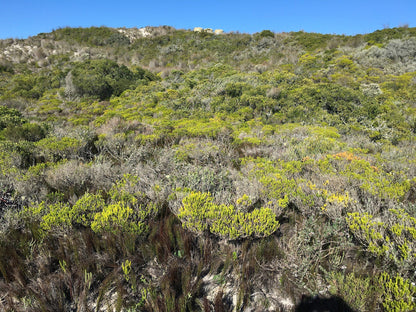  De Mond Nature Reserve