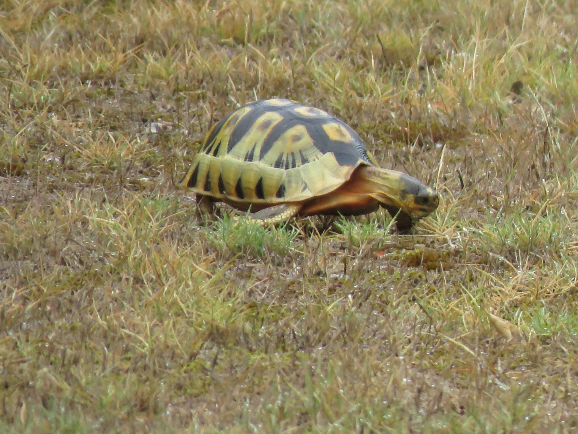  De Mond Nature Reserve