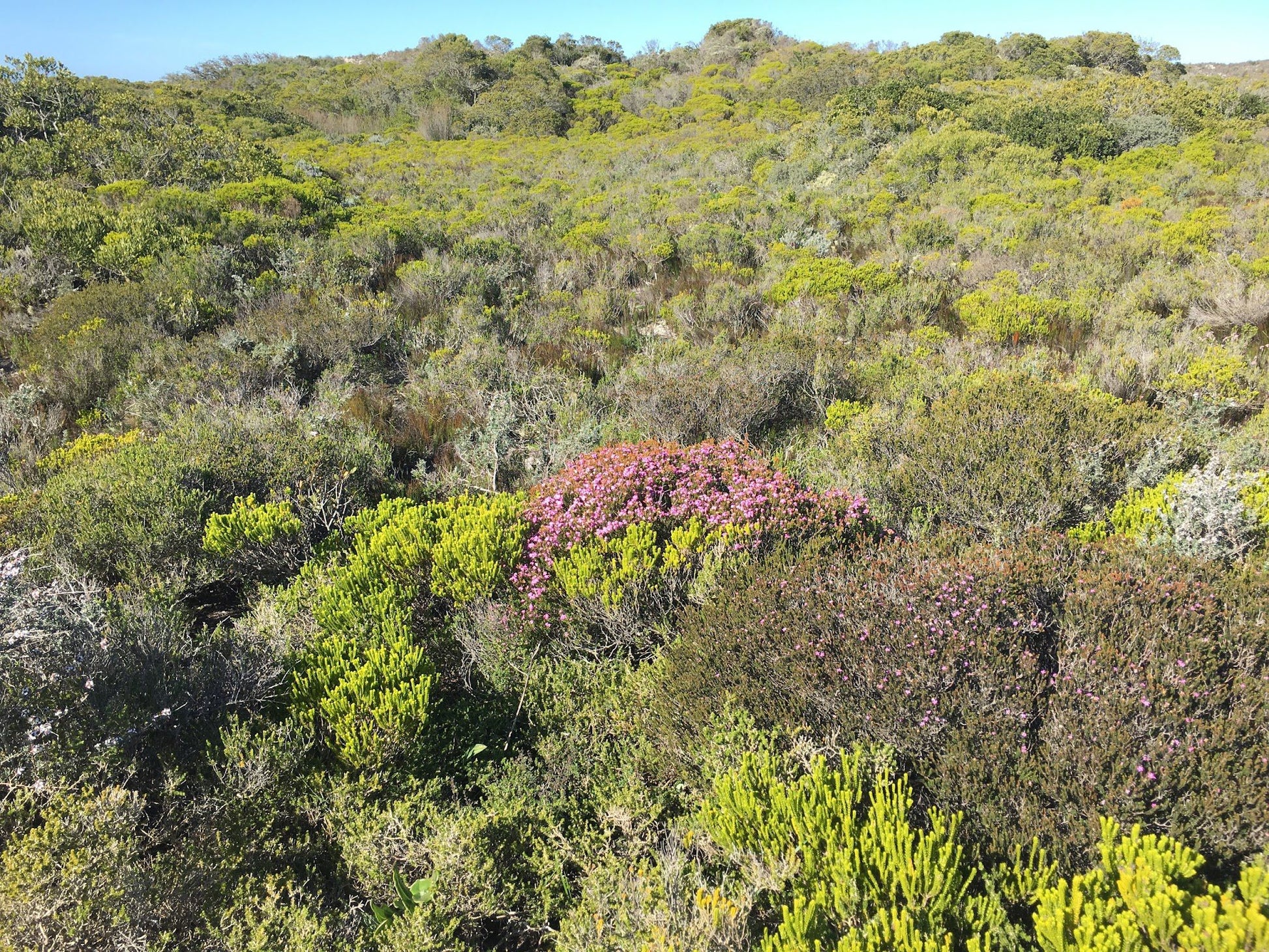  De Mond Nature Reserve