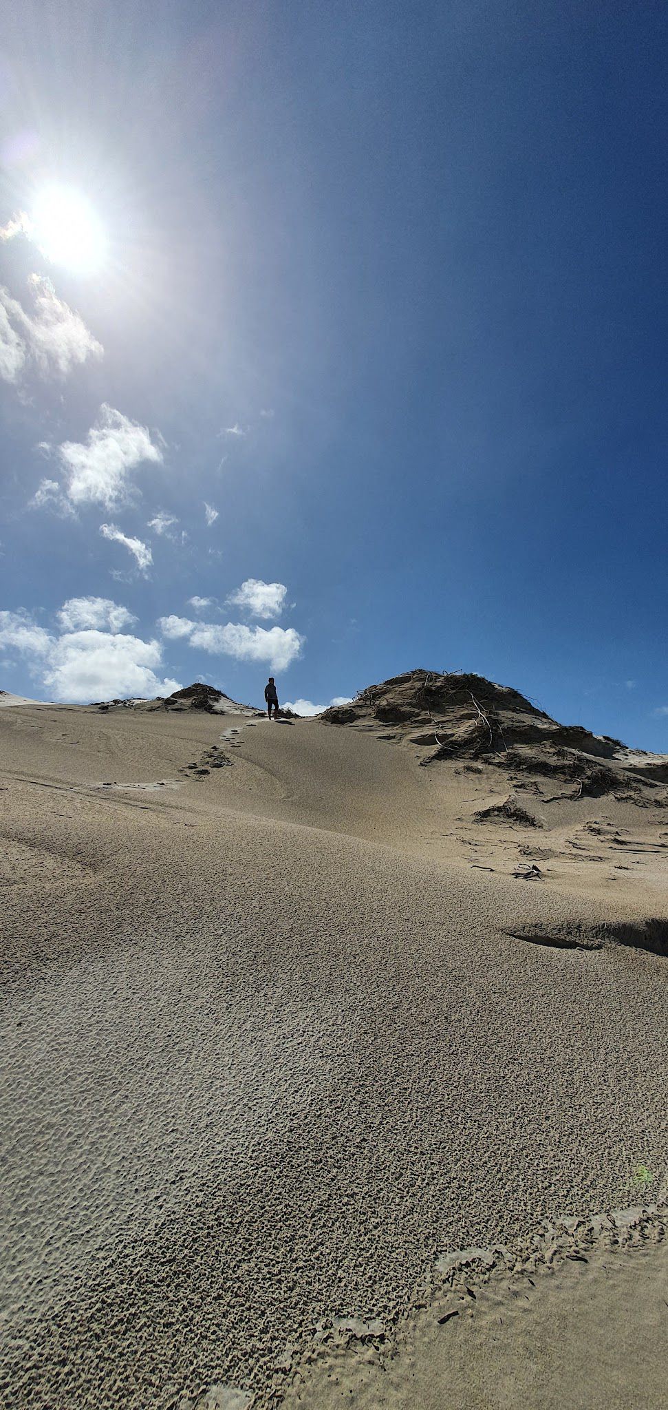  De Mond Nature Reserve