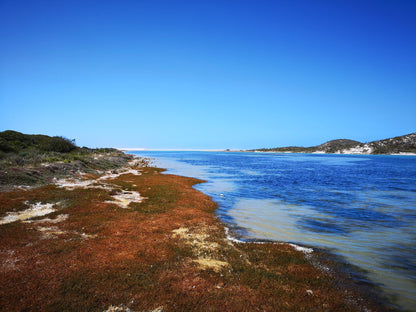  De Mond Nature Reserve