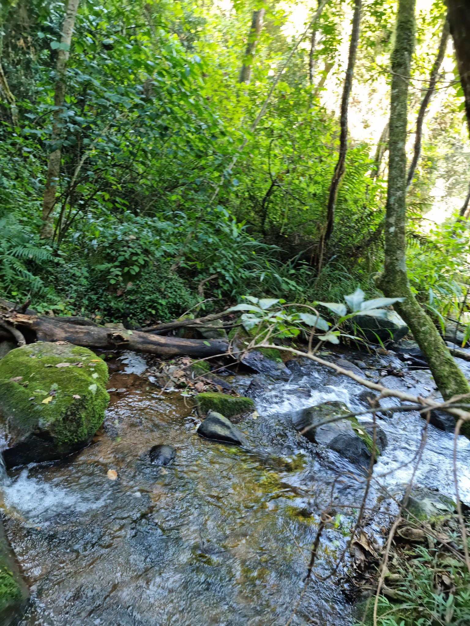  Debengeni Falls