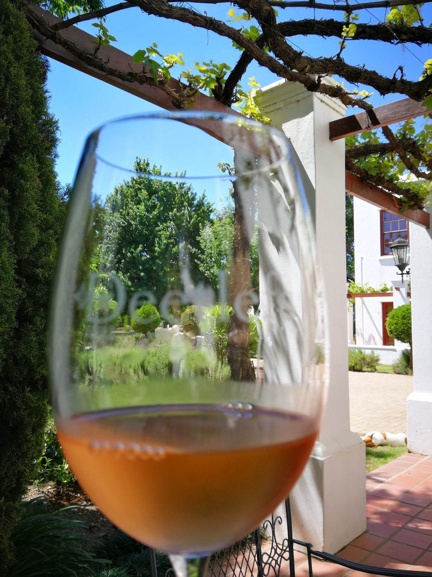  Deetlefs Wine Estate