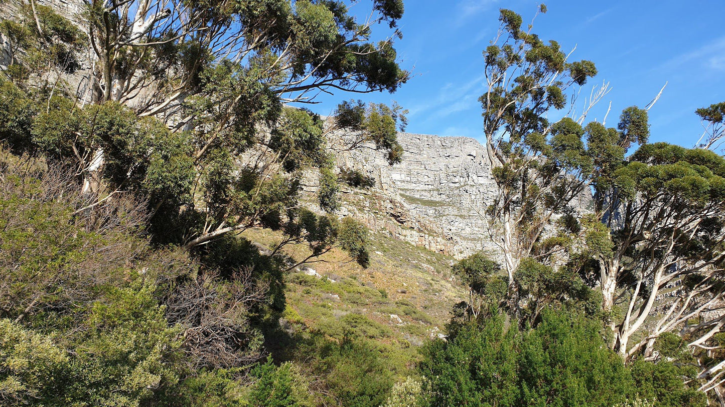 Devil's Peak Hike Start