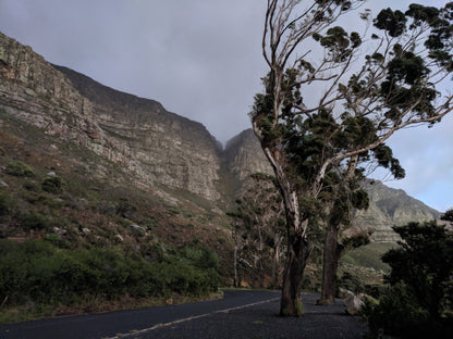 Devil's Peak Hike Start