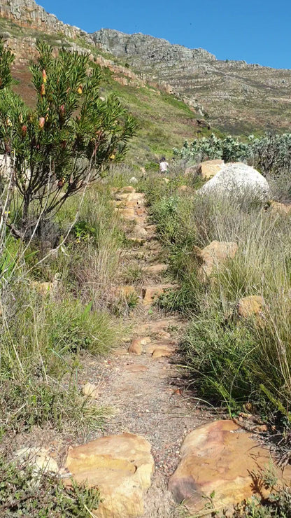 Devil's Peak Hike Start