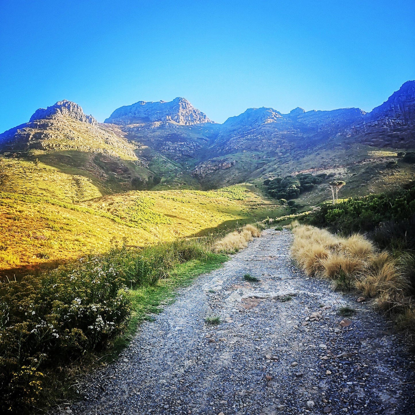 Devil's Peak Hike Start