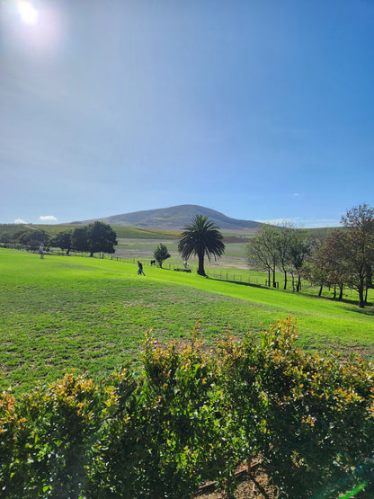  Diemersdal Wine Estate