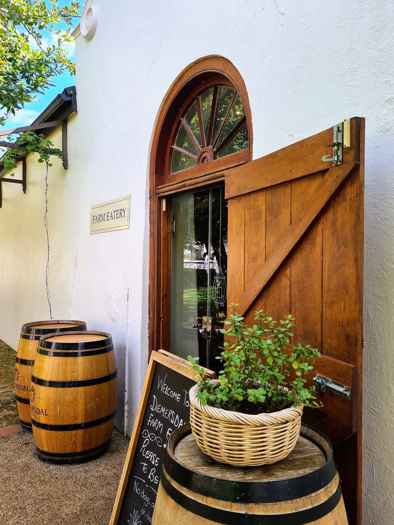  Diemersdal Wine Estate