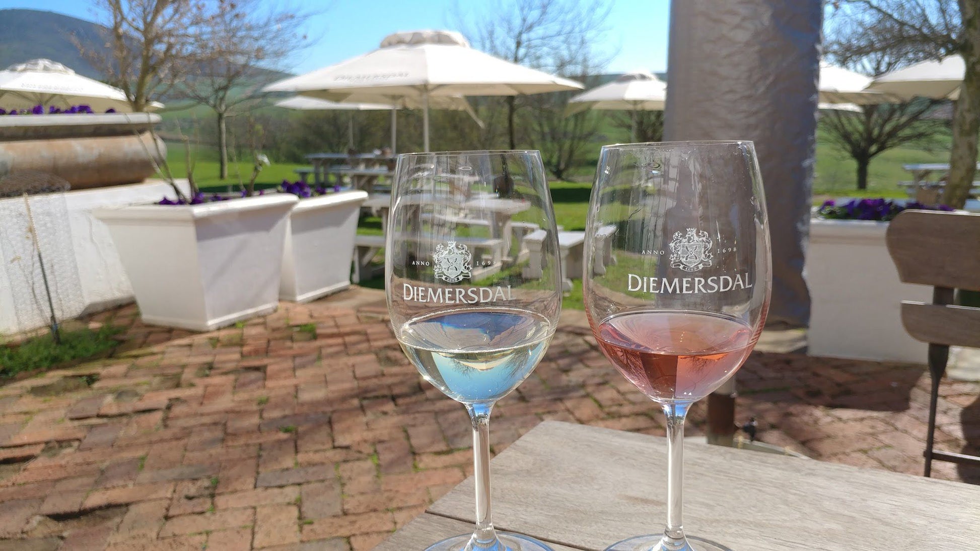  Diemersdal Wine Estate