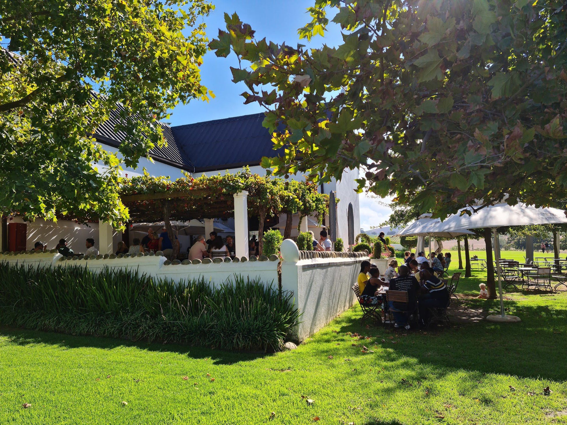  Diemersdal Wine Estate