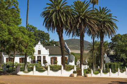  Diemersdal Wine Estate