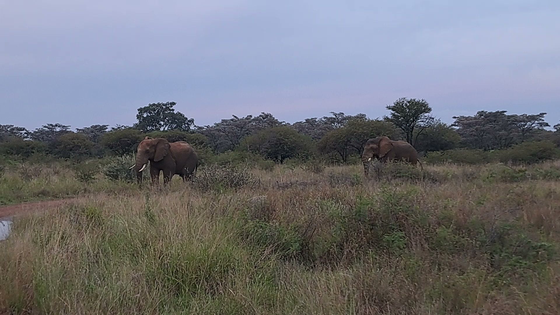  Dinokeng Game Reserve