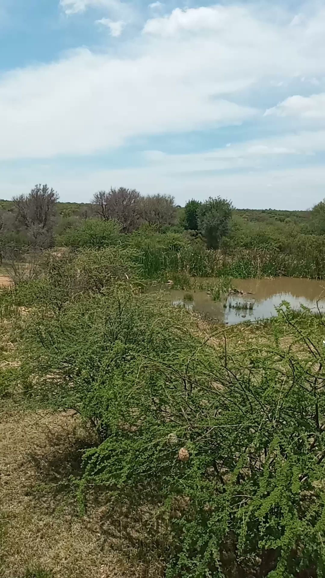  Dinokeng Game Reserve