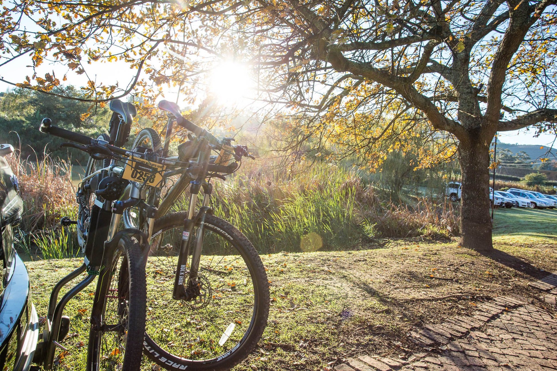  Dirtopia Trail Centre