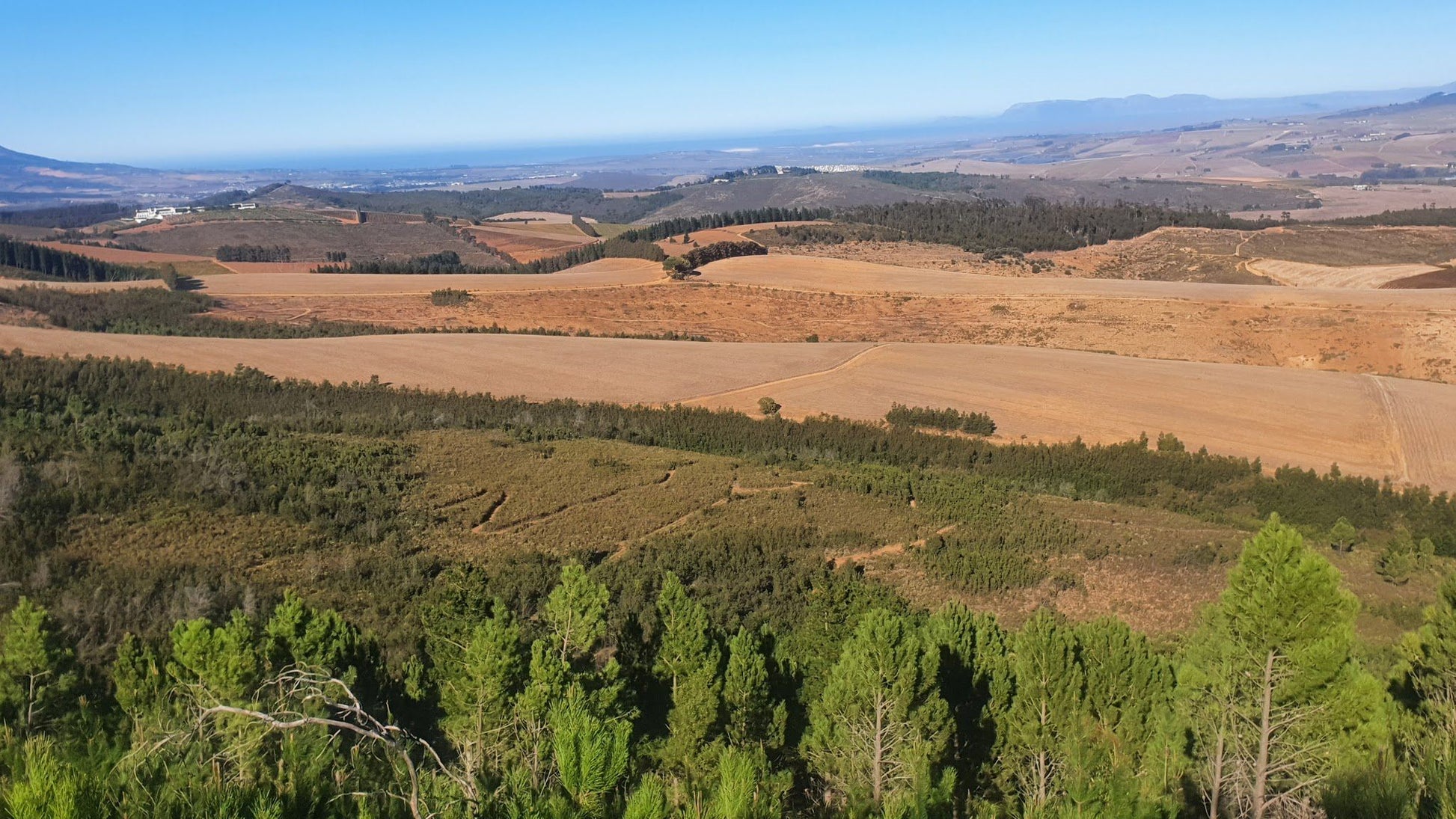  Dirtopia Trail Centre