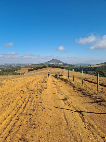  Dirtopia Trail Centre