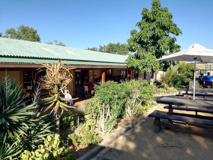  Dirtopia Trail Centre