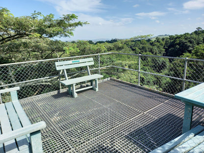  Dlinza Forest Aerial Boardwalk