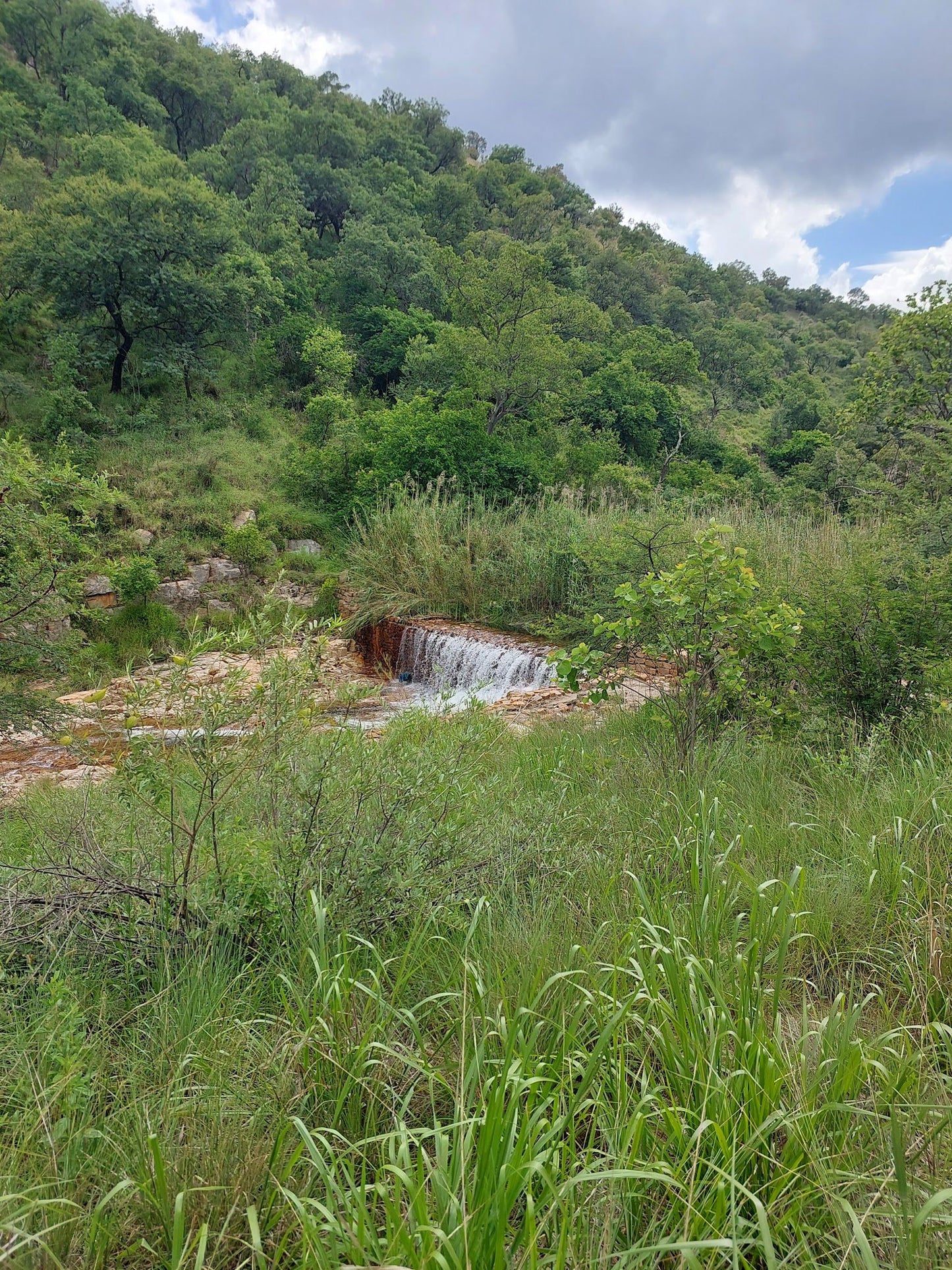 Dome Pools MCSA Magaliesberg