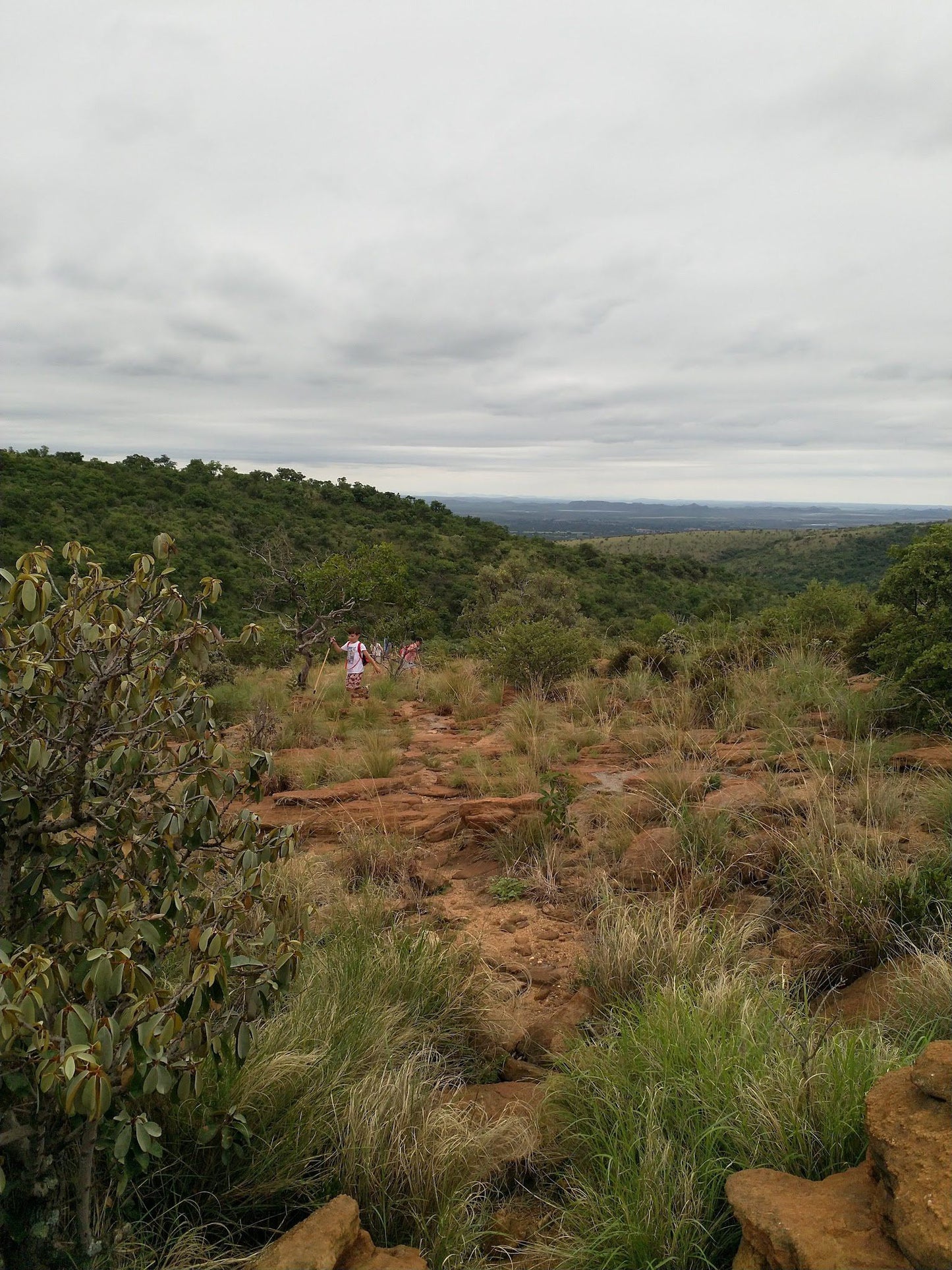 Dome Pools MCSA Magaliesberg