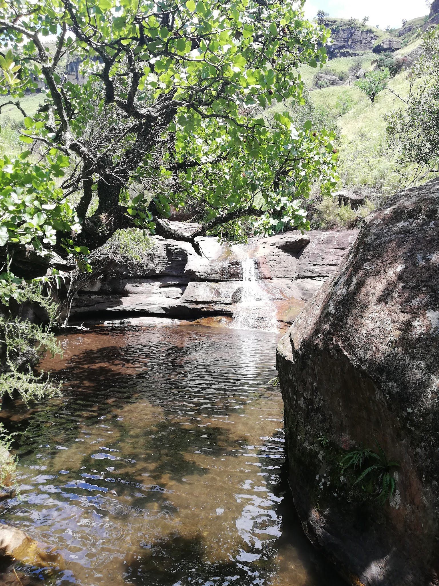  Doreen Falls