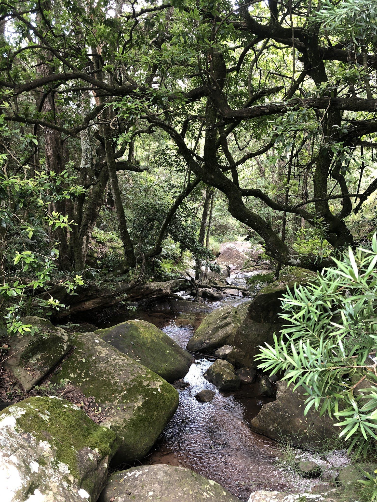  Doreen Falls