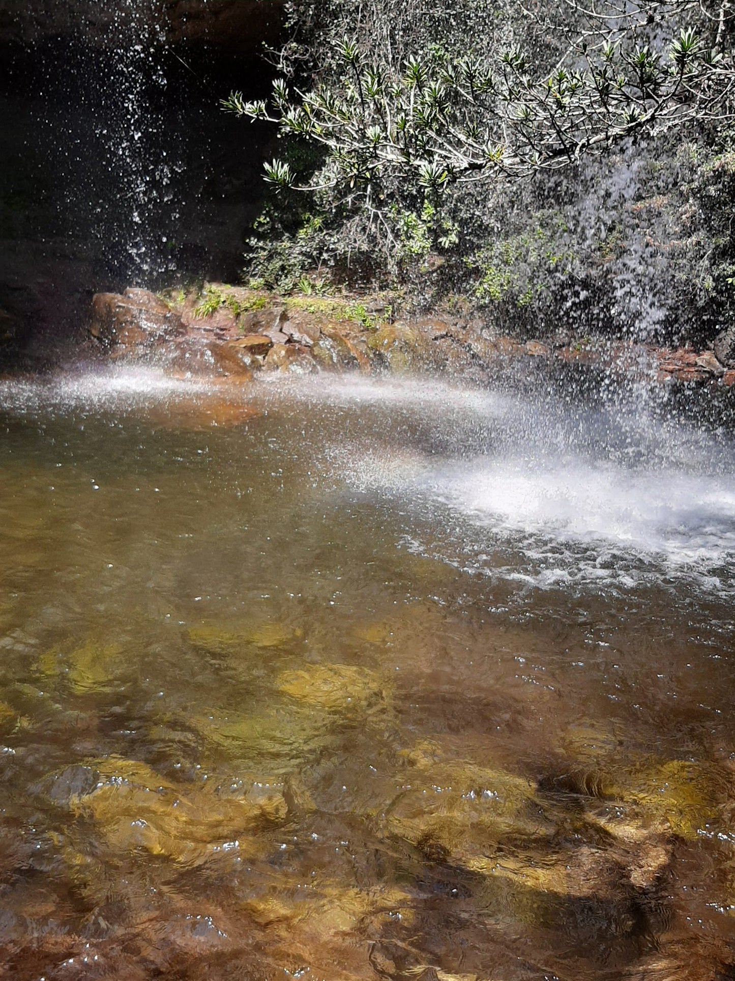  Doreen Falls