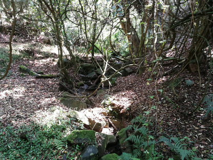  Doreen clark nature reserve