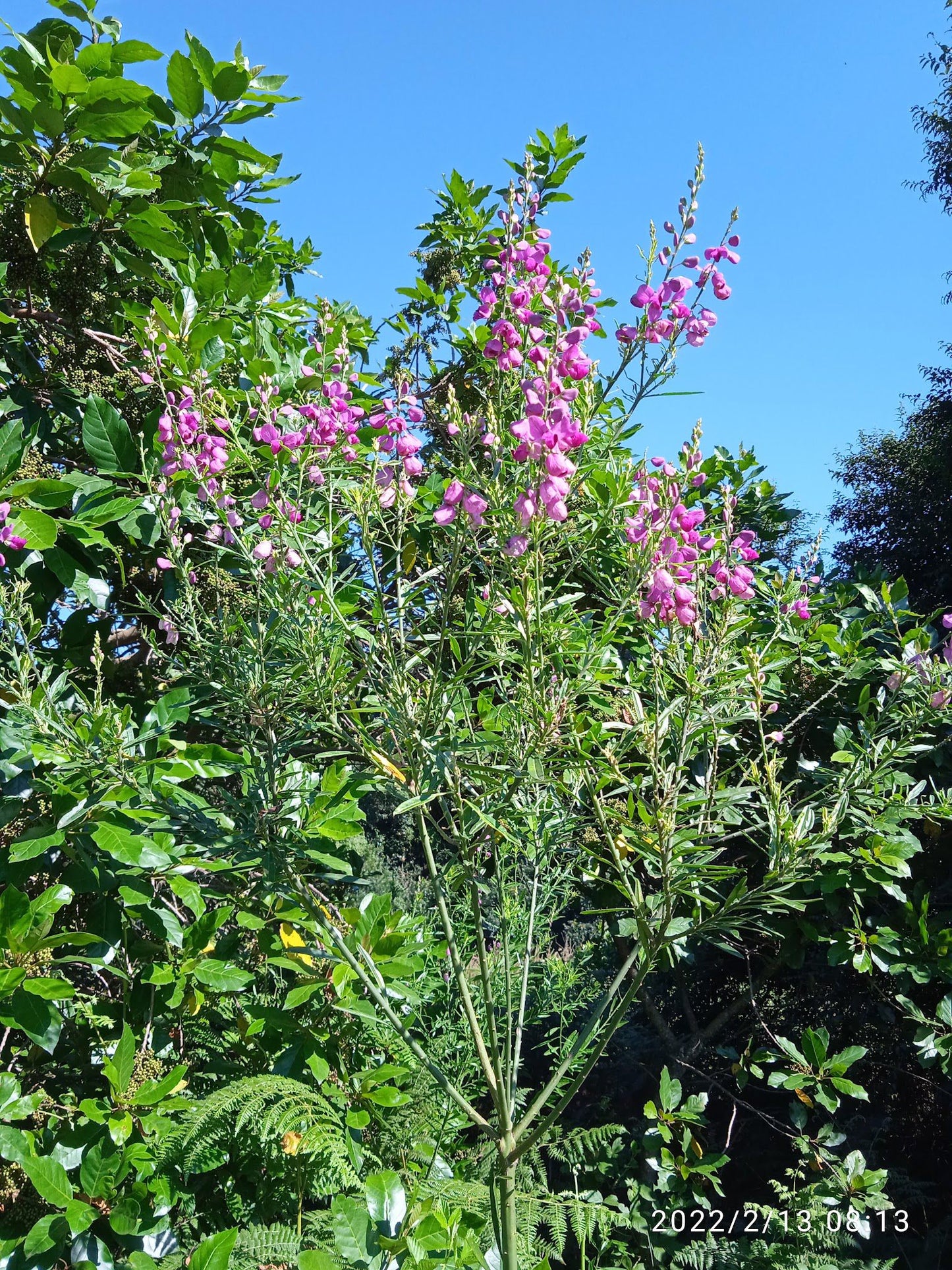  Doreen clark nature reserve