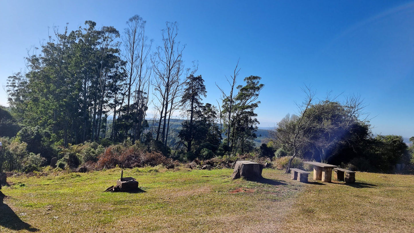  Doreen clark nature reserve