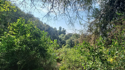  Doreen clark nature reserve