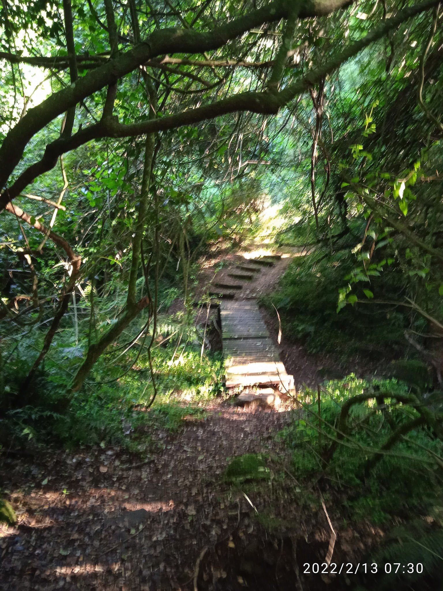  Doreen clark nature reserve