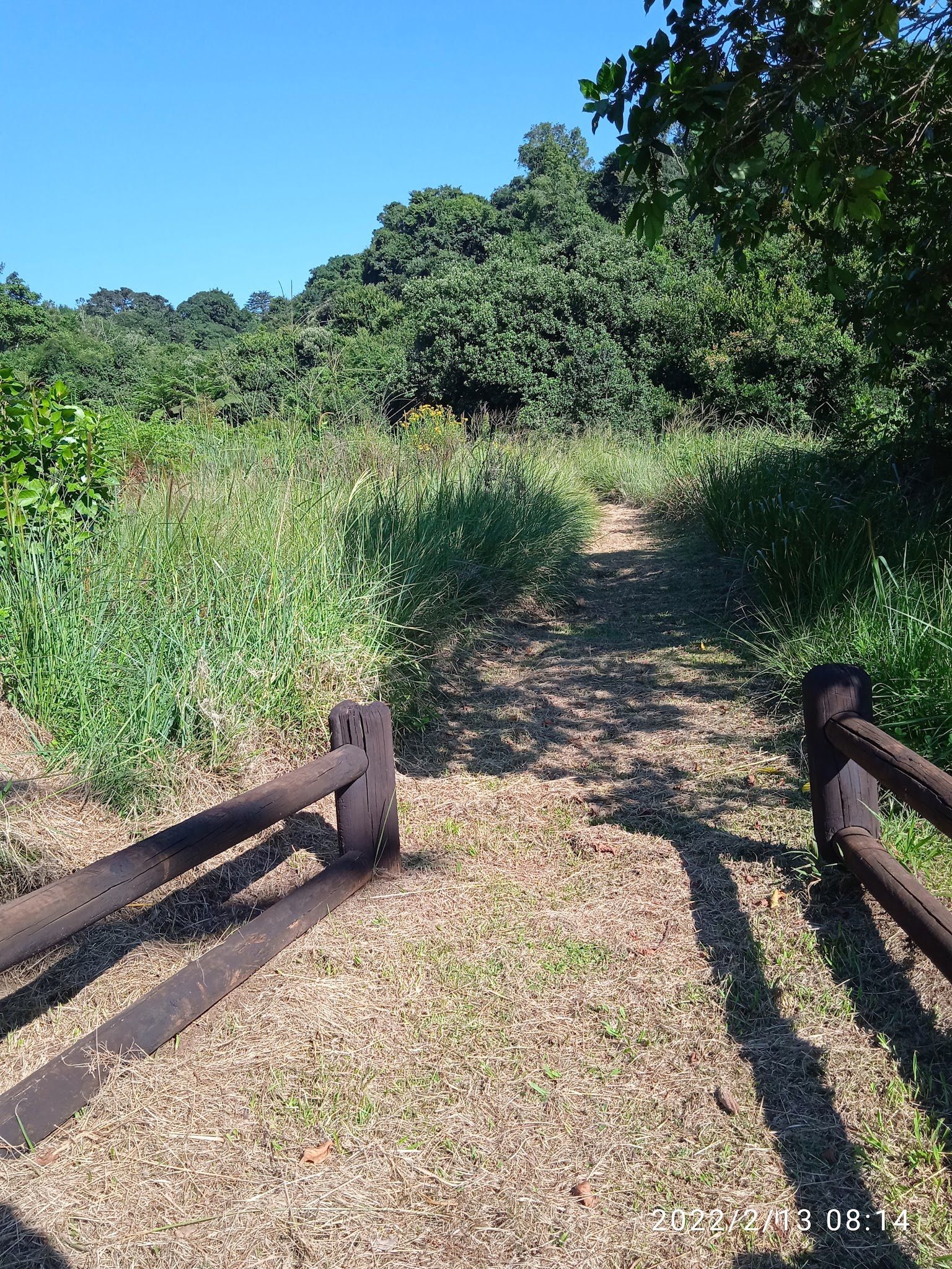  Doreen clark nature reserve