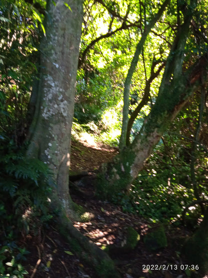  Doreen clark nature reserve