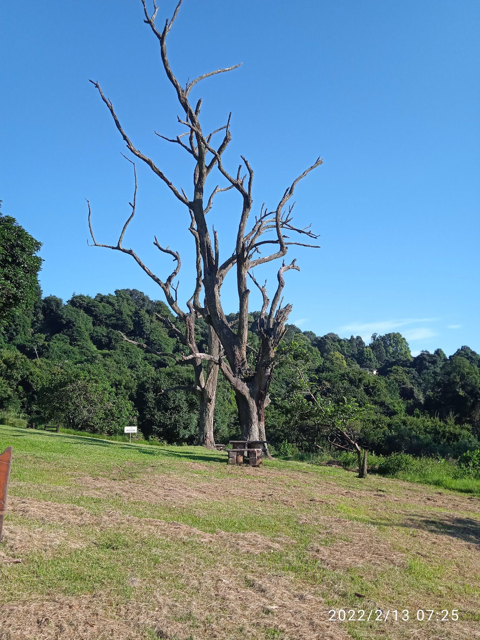  Doreen clark nature reserve