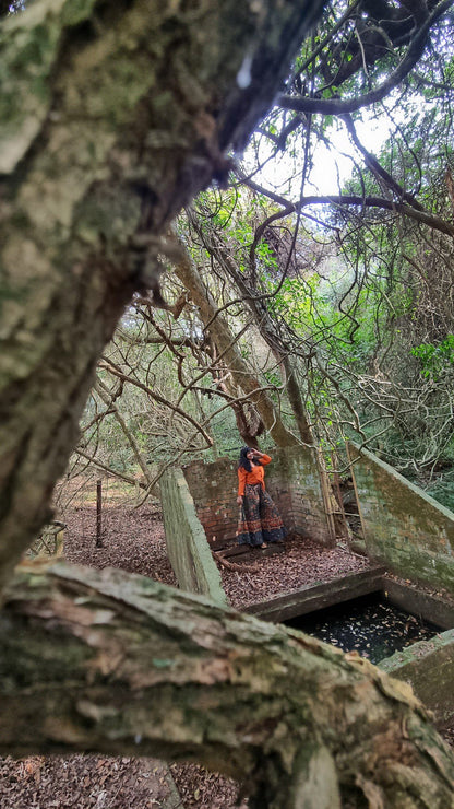  Doreen clark nature reserve