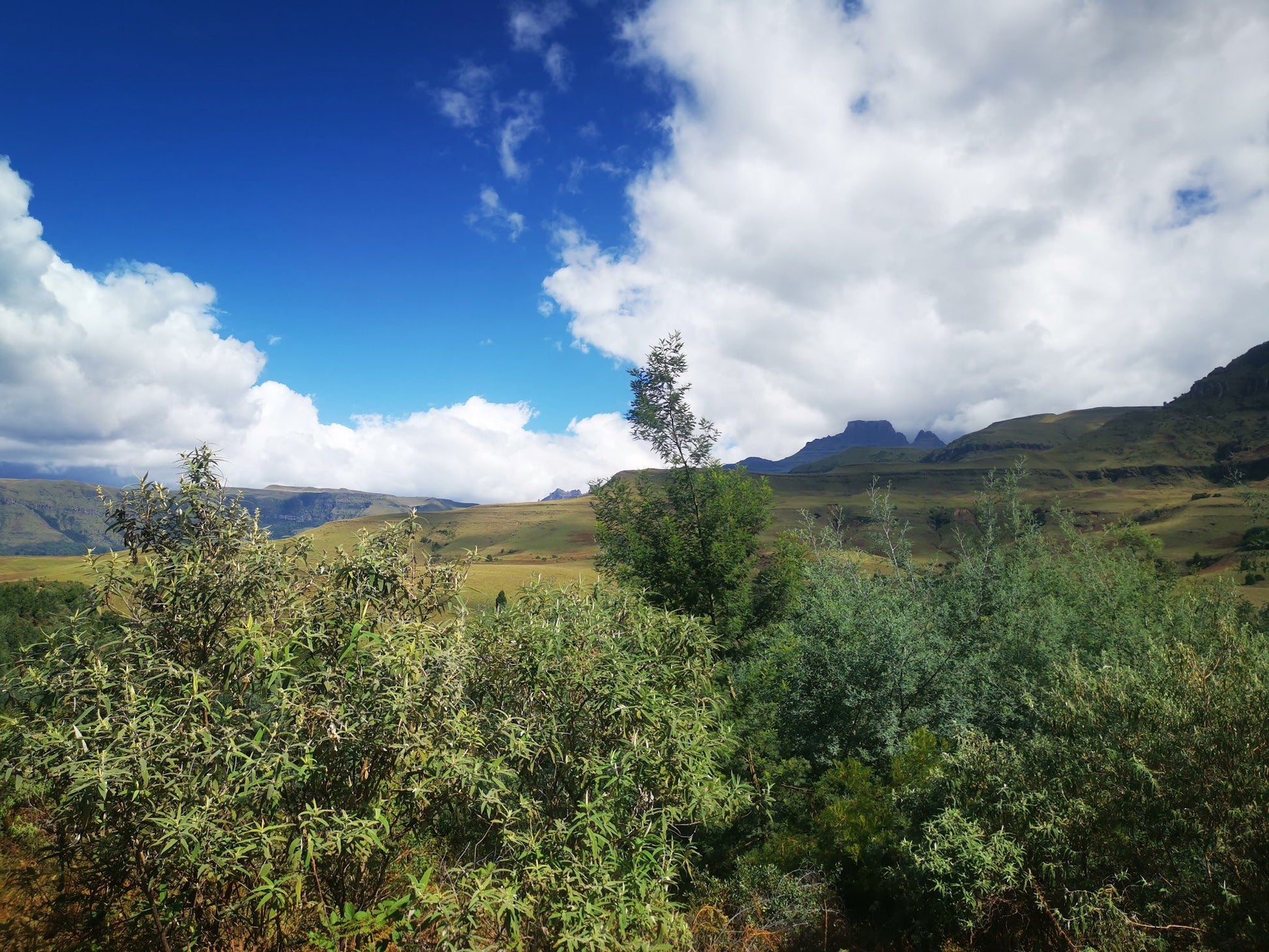  Drakensberg Canopy Tour