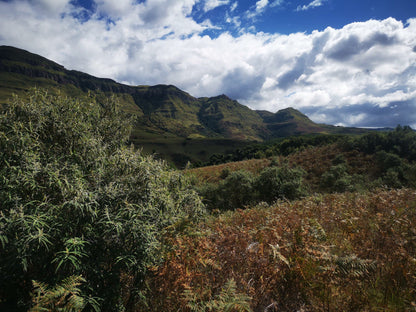  Drakensberg Canopy Tour