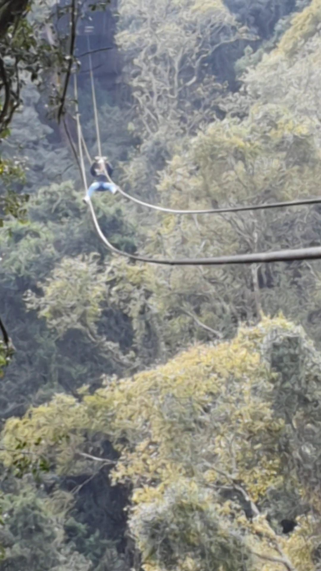  Drakensberg Canopy Tour