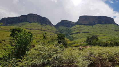 Drakensberg Tourism - Bergville