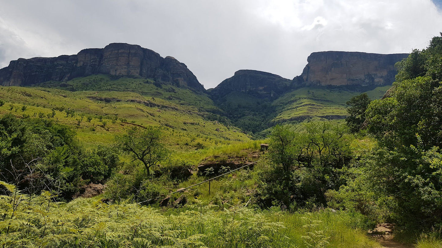 Drakensberg Tourism - Bergville