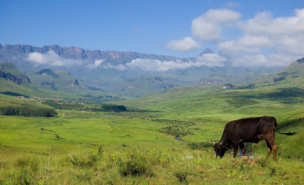 Drakensberg